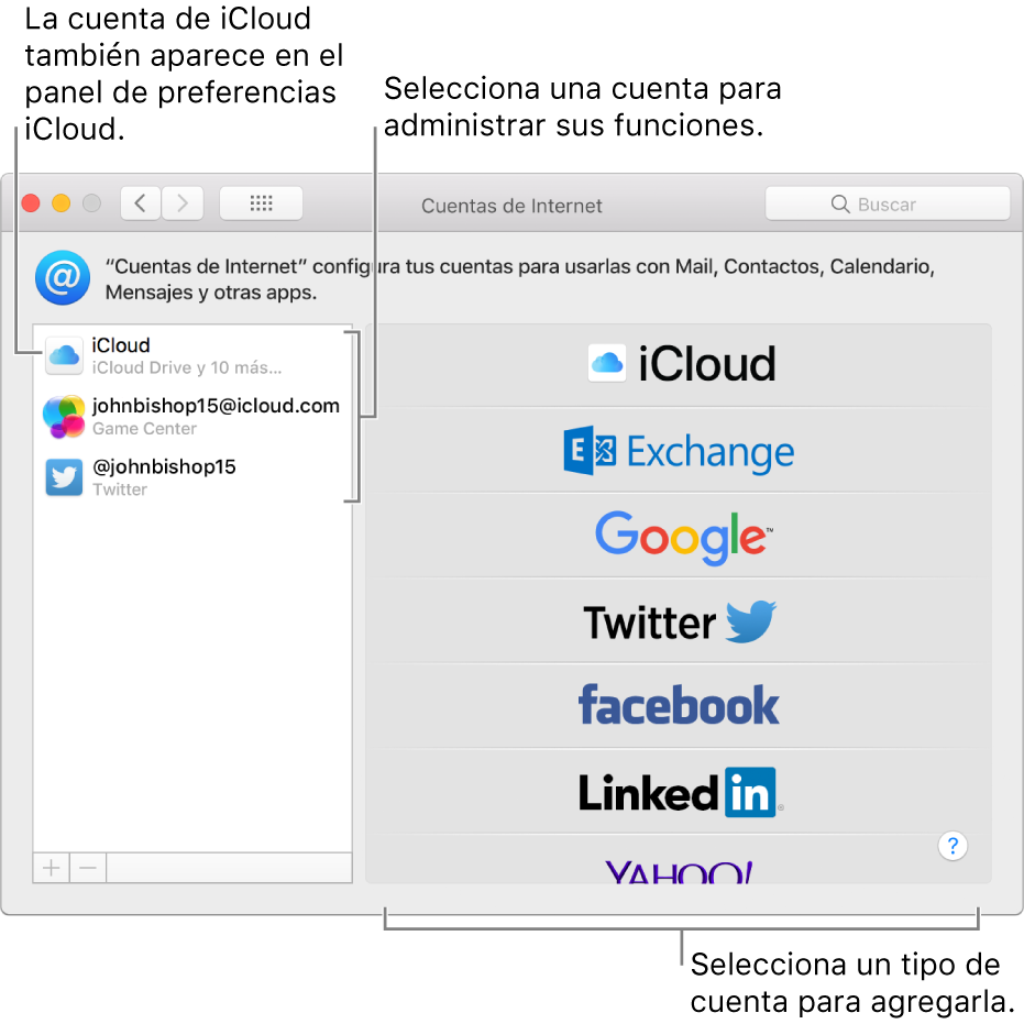Panel de preferencias “Cuentas de Internet” con cuentas de iCloud y Twitter a la derecha, y tipos de cuentas disponibles en la izquierda.
