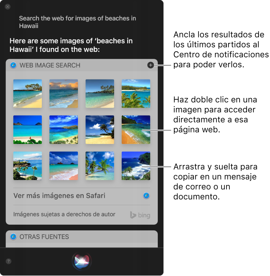 Ventana de Siri con los resultados de la petición “Busca en Internet imágenes de playas de Hawaii”. Puedes pinchar los resultados en el centro de notificaciones, hacer doble clic en una imagen para abrir la página web que contiene la imagen o arrastrar una imagen a un correo electrónico o documento o al escritorio.