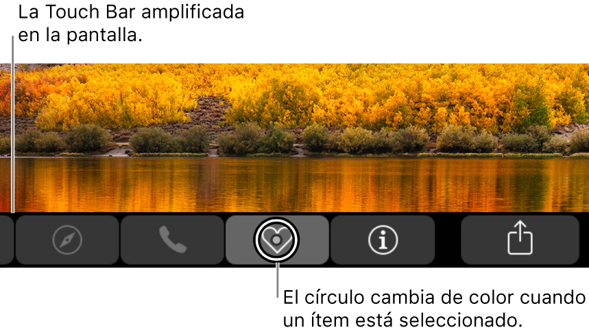 La Touch Bar con aumento de zoom en la parte inferior de la pantalla; el círculo que rodea a un botón cambia cuando se selecciona el botón.