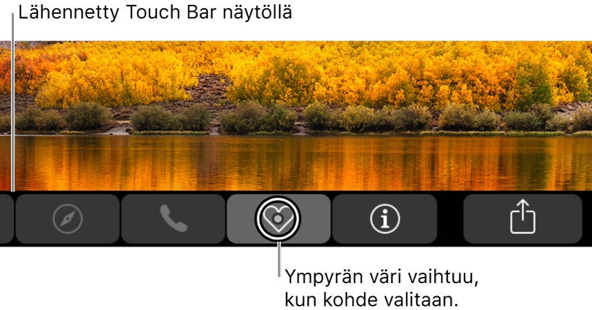 Lähennetty Touch Bar näytön alareunassa. Painikkeen ympyröinti muuttuu, kun se valitaan.