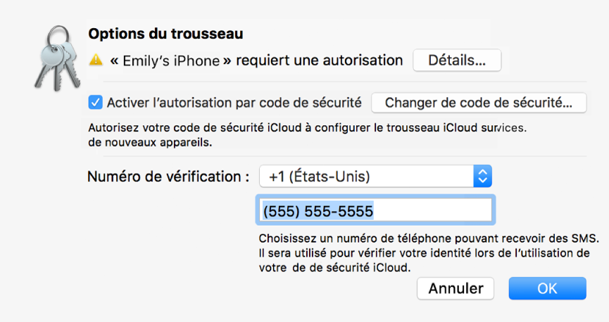 La zone de dialogue Options de Trousseau iCloud avec le nom de l’appareil demandant l’approbation et le bouton Détails à côté.