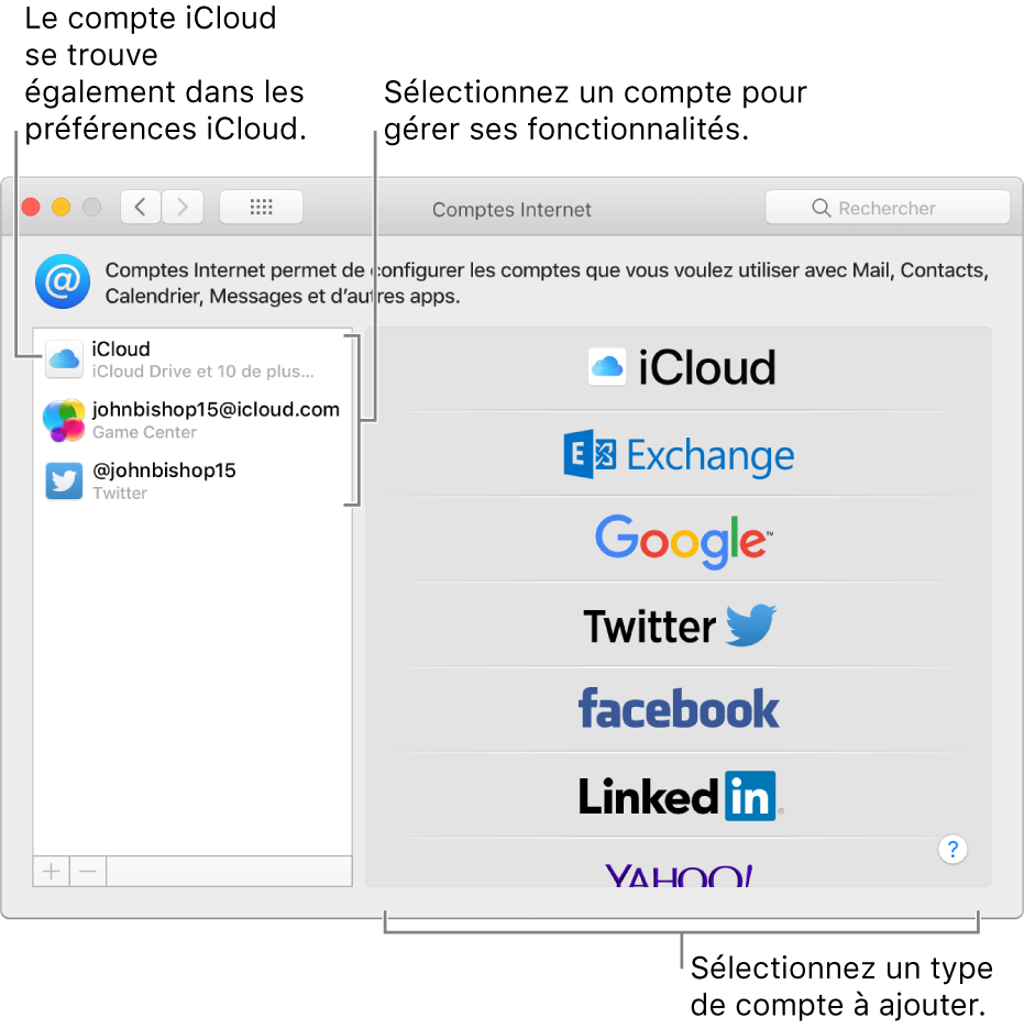 Préférences Comptes Internet avec des comptes iCloud et Twitter répertoriés à droite et les types de comptes disponibles, à gauche.