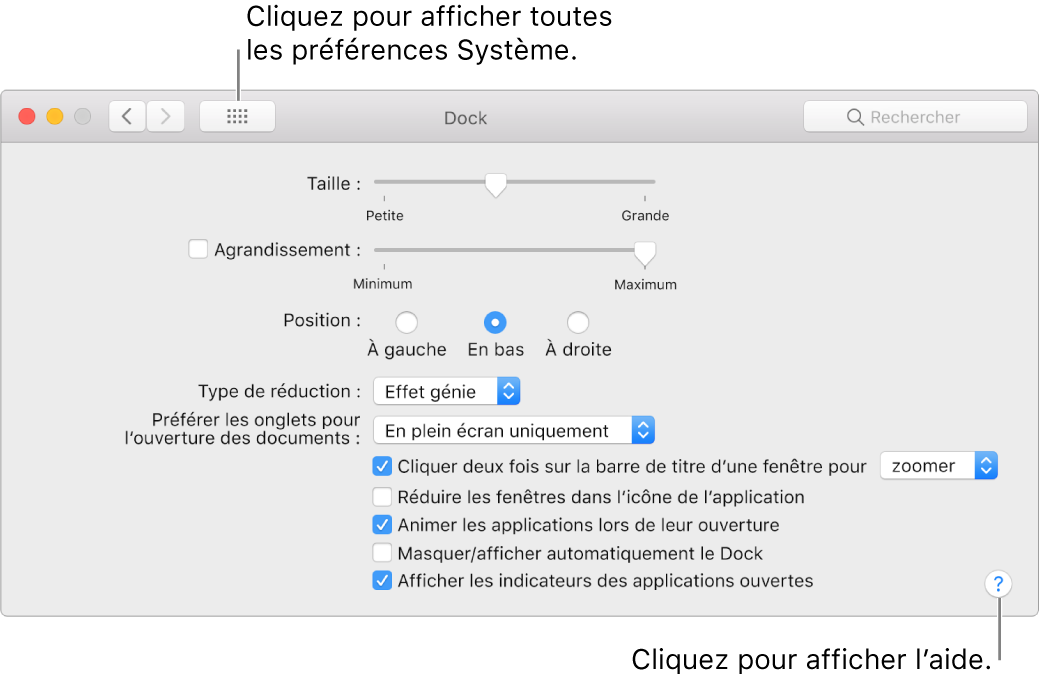 Cliquez sur Tout afficher pour afficher toutes les icônes de préférences. Cliquez sur le bouton représentant un point d’interrogation pour afficher l’aide associée à la sous-fenêtre.