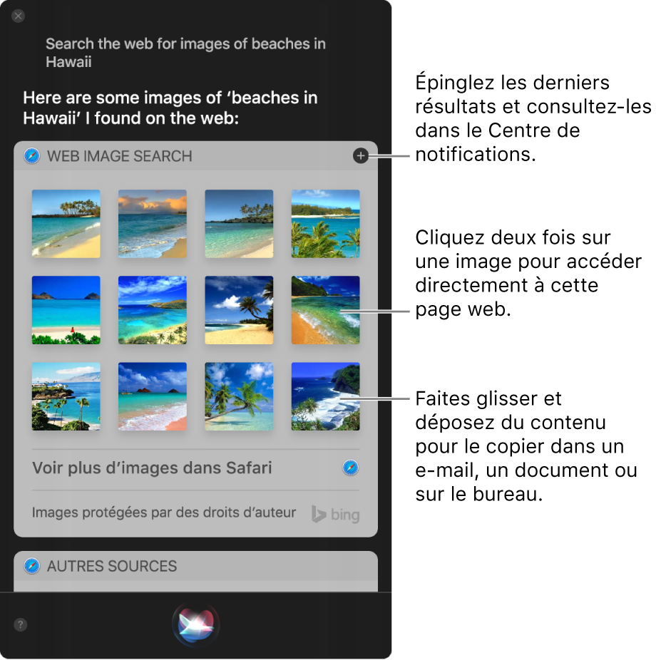 La fenêtre Siri affichant les résultats de Siri pour la requête « Recherche des images des Seychelles sur le Web ». Vous pouvez épingler les résultats au Centre de notifications, cliquer deux fois sur une image pour ouvrir la page web qui contient l’image ou faire glisser une image dans un e-mail ou un document ou sur le bureau.