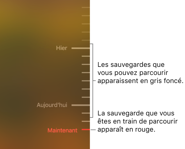 Graduations grises de la chronologie de sauvegarde. La graduation rouge indique la sauvegarde que vous consultez.