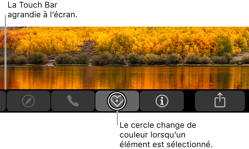 La Touch Bar agrandie en bas de l’écran, le cercle par-dessus un bouton change lorsque le bouton est sélectionné.