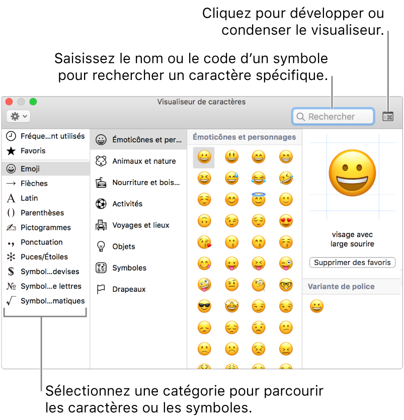La fenêtre Visualiseur de caractères. Sélectionnez une catégorie à gauche pour parcourir les caractères ou les symboles. Dans le champ de recherche, saisissez un nom ou un code de symbole pour trouver un caractère spécifique. Cliquez dans le coin supérieur droit pour développer ou condenser le visualiseur.