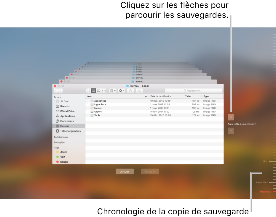 Lorsque vous ouvrez Time Machine, un écran flou s’affiche avec plusieurs écrans du Finder empilés pour représenter les sauvegardes. Cliquez sur les flèches pour parcourir vos sauvegardes (ou cliquez dans la chronologie de sauvegarde située à droite) et choisissez les fichiers à restaurer.