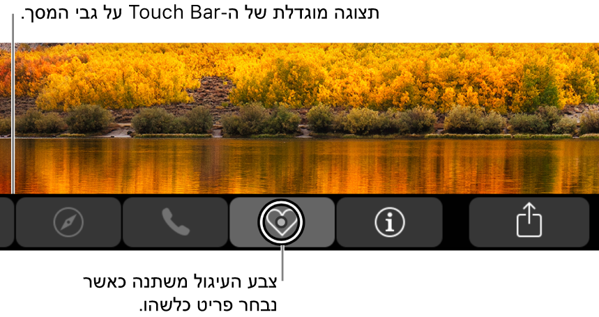 התצוגה המוגדלת של ה-Touch Bar בחלק התחתון של המסך; העיגול על גבי הכפתור משתנה עם בחירת הכפתור.