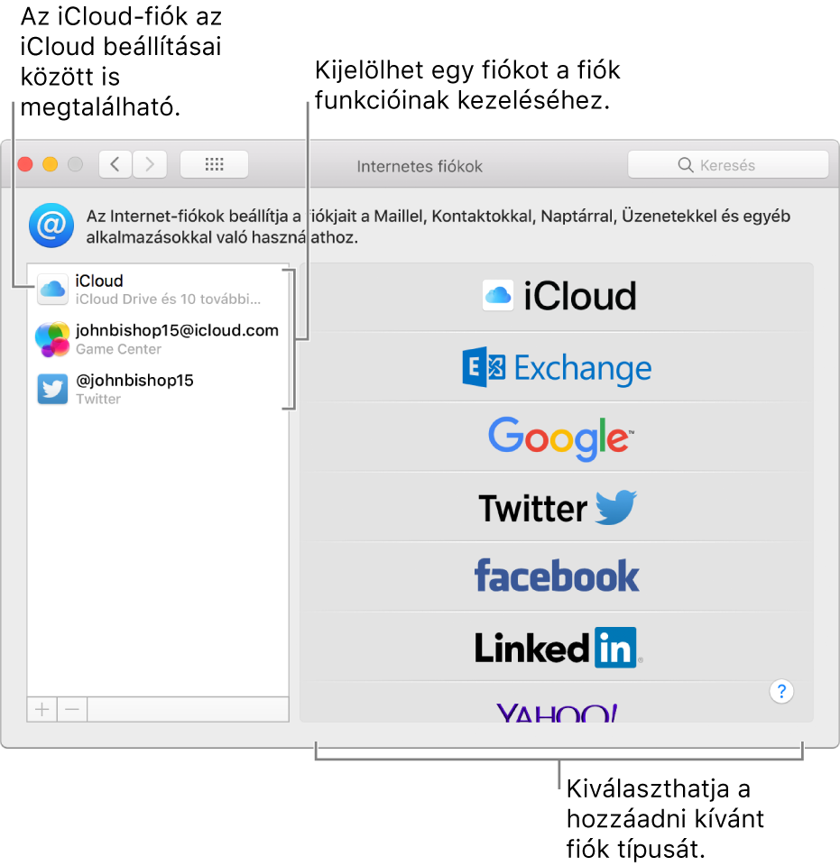 Az Internetes fiókok beállítások, ahol az iCloud- és Twitter-fiókok a jobb oldalon, az elérhető fióktípusok pedig a bal oldalon láthatók.