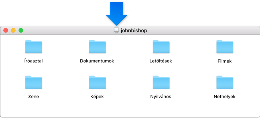 A lemezkép ablakának címsorában lévő kis ikon, amely egy törölt felhasználó saját mappáját jelöli.