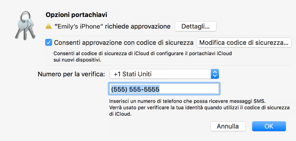 Finestra di dialogo “Opzioni portachiavi” di iCloud con il nome del dispositivo che richiede l'approvazione e accanto un pulsante Dettagli.