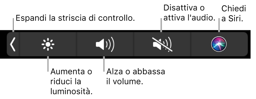 Quando è contratta, Control Strip include i pulsanti, da sinistra a destra, per espandere Control Strip, aumentare o diminuire la luminosità del monitor e il volume, disattivare o attivare i suoni e fare richieste a Siri.