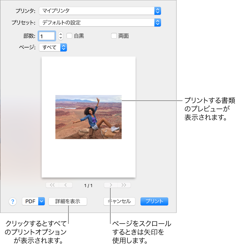 「プリンタ」ポップアップメニューに表示されるアイコンは、プリンタの状況を表します。「プリント」ダイアログにプリントジョブの小さいプレビューが表示されます。「詳細を表示」ボタンをクリックすると、すべてのプリントオプションが表示されます。