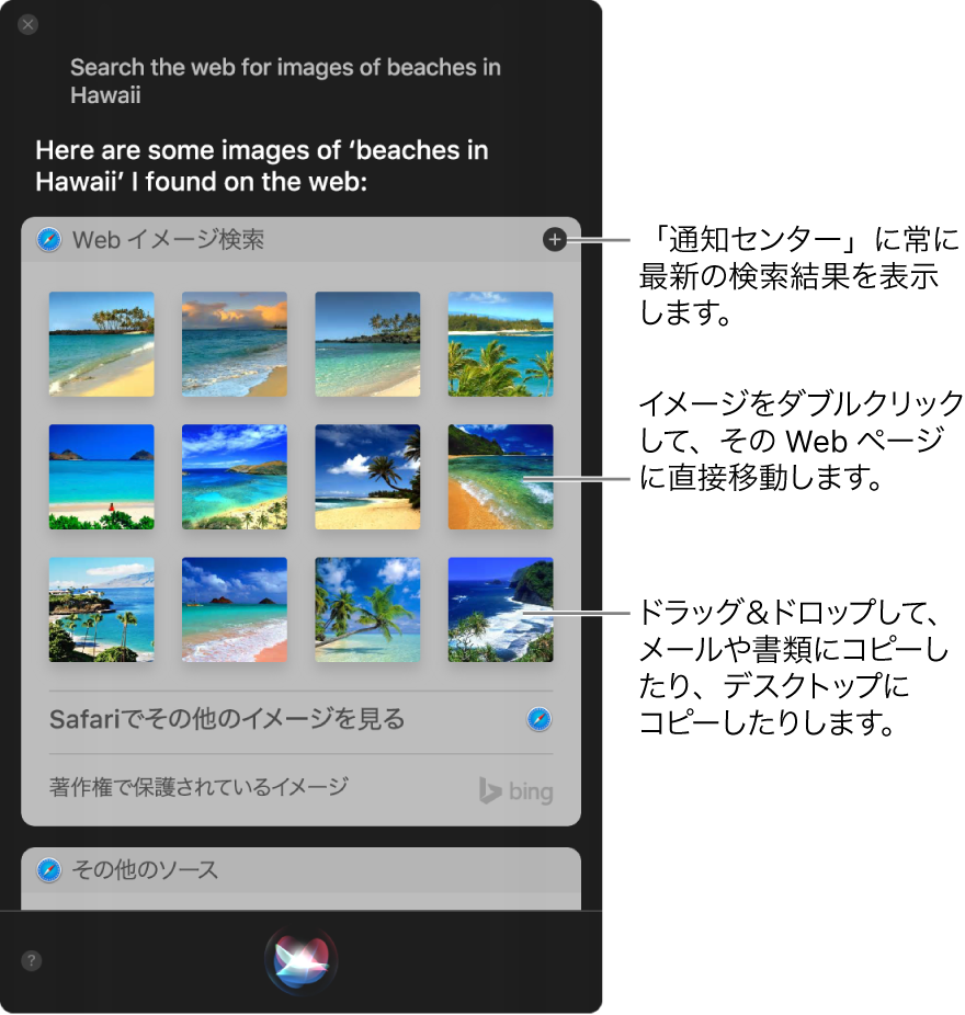 Siri ウインドウ。「ハワイのビーチの画像を Web で検索して。」というリクエストに Siri が返した結果が表示されています。その結果を通知センターにピンで固定したり、その画像をダブルクリックして画像を含む Web ページを開いたり、画像をメール、書類、またはデスクトップにドラッグしたりできます。