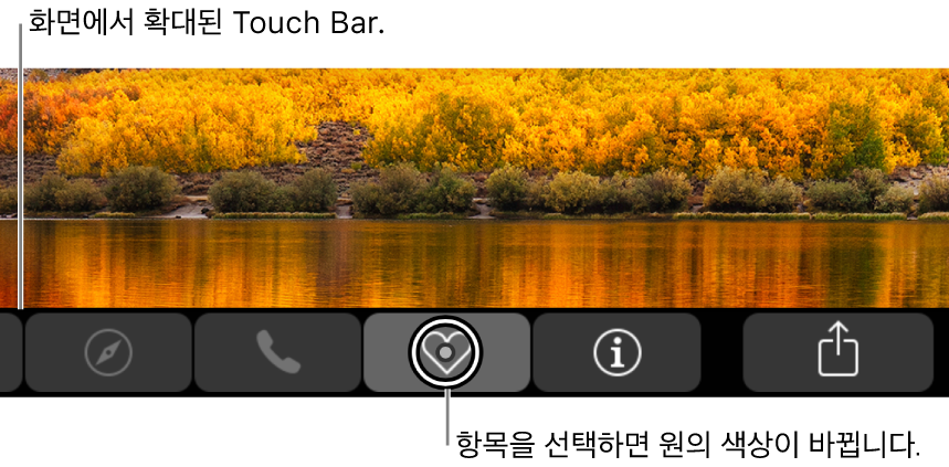 화면 하단의 확대된 Touch Bar. 버튼을 선택하면 버튼 위의 원이 바뀝니다.