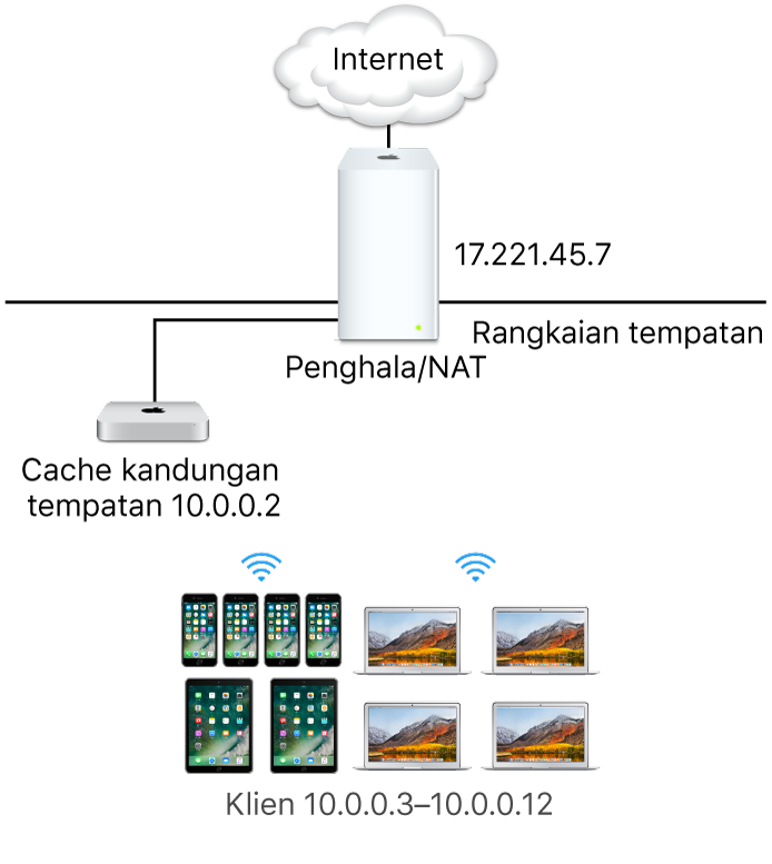 Pelayan cache subjaringan tunggal.