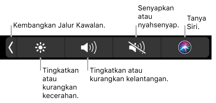 Control Strip yang diruntuhkan termasuk butang—dari kiri ke kanan—untuk mengembangkan Control Strip, meningkatkan atau mengurangkan kecerahan dan kelantangan, senyapkan atau nyahsenyapkan dan tanya Siri.