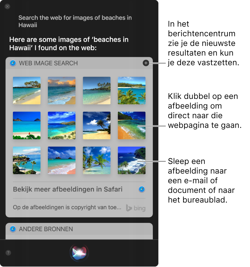 Het Siri-venster met resultaten van Siri op de vraag "Search the web for images of beaches in Hawaii" (Zoek op het internet naar afbeeldingen van stranden op Hawaii). Je kunt de resultaten vastmaken aan het berichtencentrum, dubbel klikken op een afbeelding om de webpagina met de afbeelding te openen of een afbeelding naar een e-mail of document of naar het bureaublad slepen.
