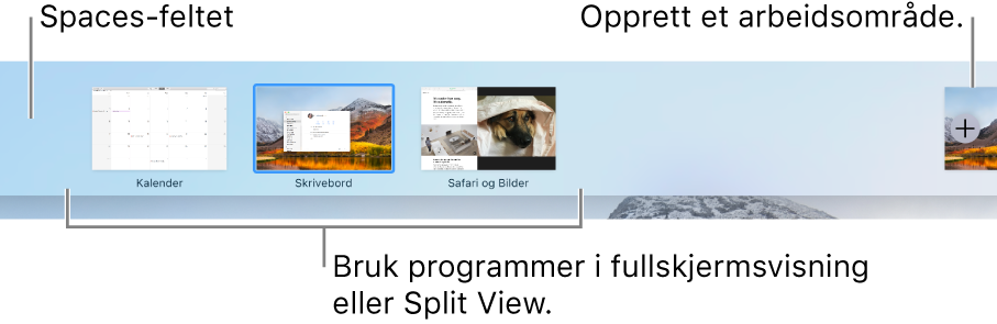 Spaces-feltet som viser et skrivebord, programmer i fullskjermvisning og Split View-visning, og Legg til-knappen for å opprette et arbeidsområde.