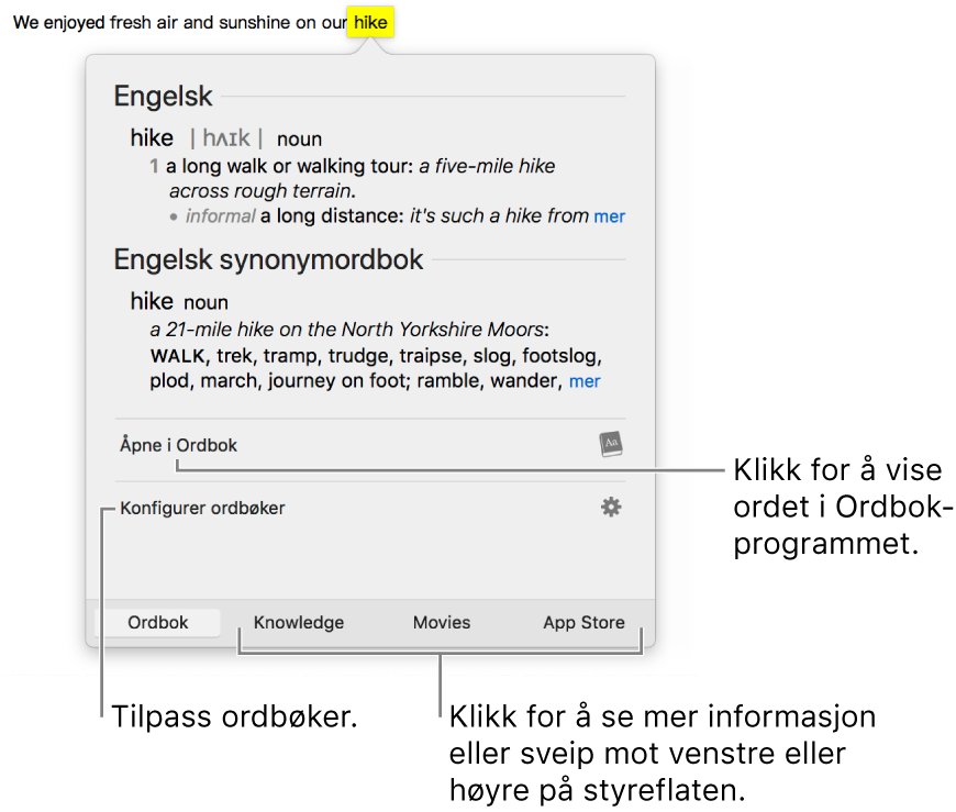 Slå opp-vinduet som viser Ordbok- og Synonymordbok-definisjoner for et ord.