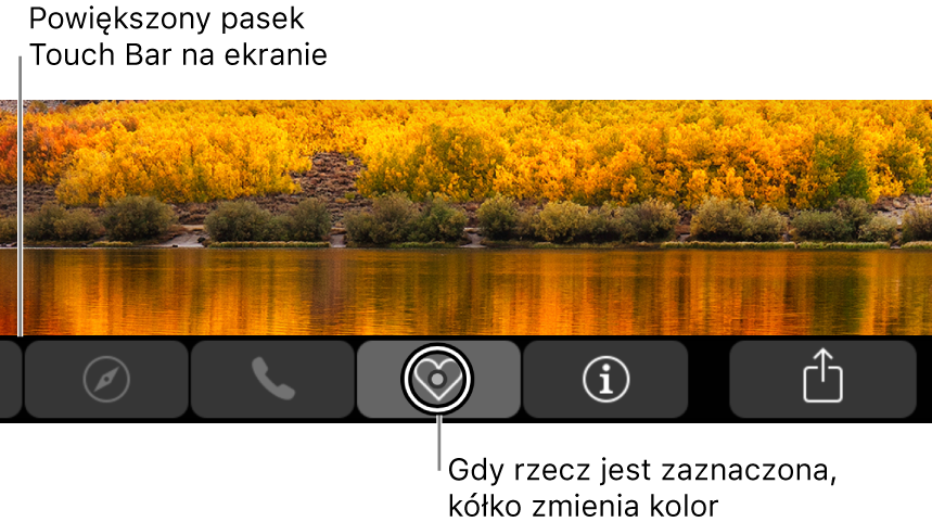 Powiększony pasek Touch Bar wzdłuż dolnej krawędzi ekranu; kółko na przycisku zmienia się, gdy przycisk zostaje zaznaczony.
