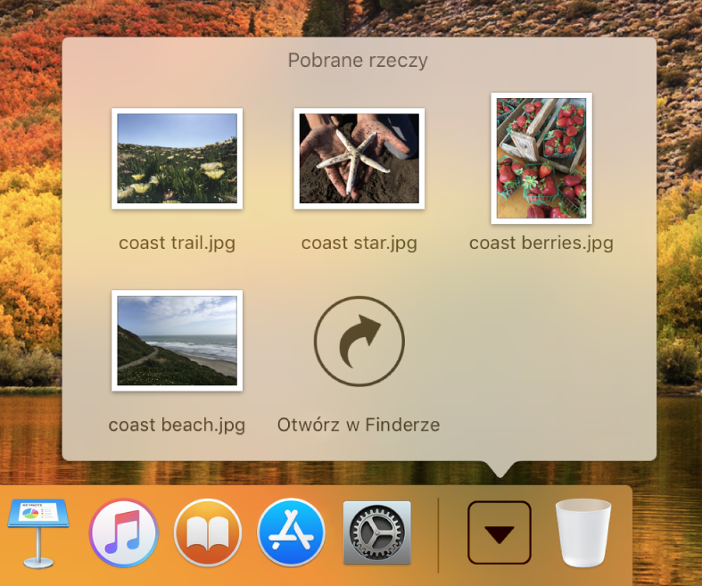 Przykład stosu w Docku.