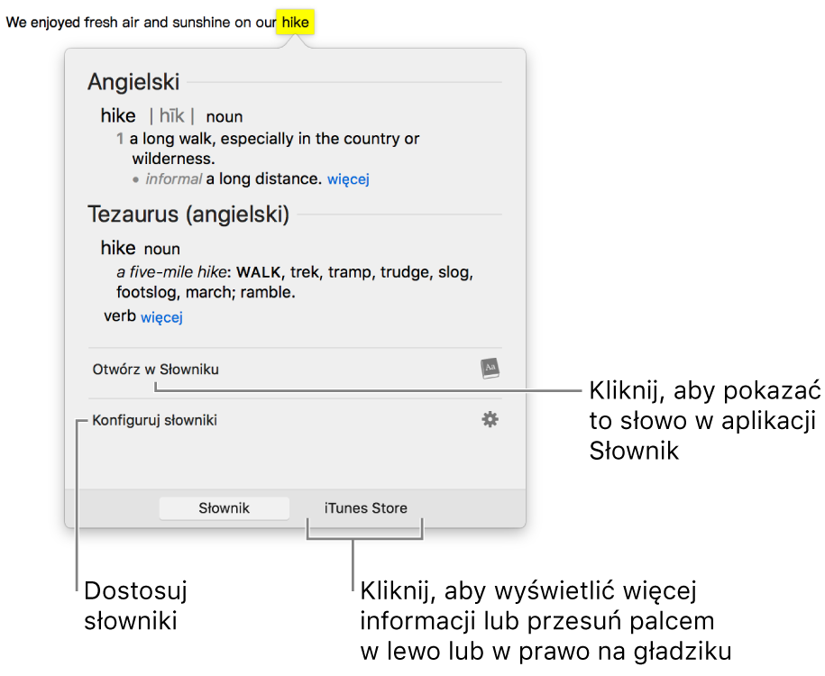 Okno definicji, zawierające definicję słowa ze słownika oraz tezaurusa.