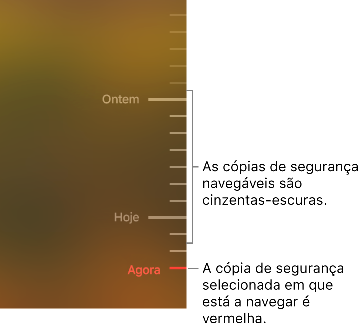 Marcas de visto cinzentas no cronograma da cópia de segurança. A marca de visto vermelha indica a cópia de segurança que está a percorrer.