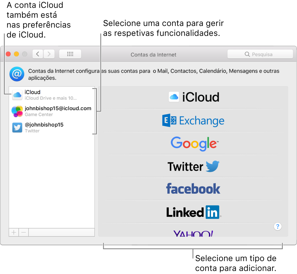Painel das Preferências de Contas da Internet com contas de iCloud e do Twitter listadas à direita e os tipos de contas disponíveis listadas à esquerda.
