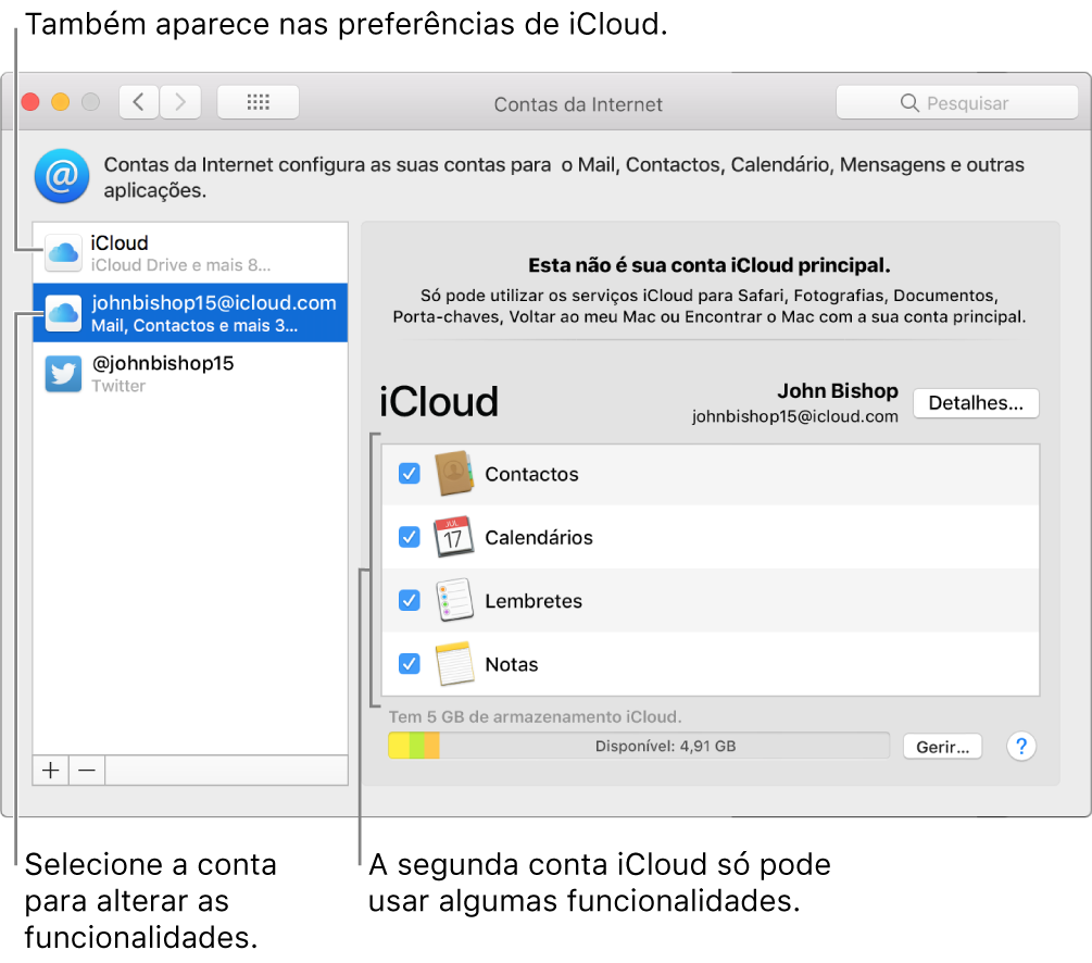 O painel de preferências de Contas da Internet a mostrar duas contas iCloud. A segunda conta, selecionada na lista à esquerda, mostra que apenas algumas funcionalidades estão disponíveis.