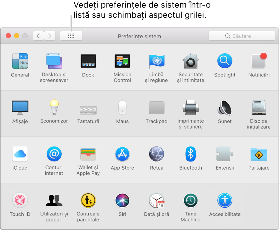 Fereastra Preferințe sistem afișând grila de pictograme. Faceți clic pe butonul Afișează tot în bara de instrumente a ferestrei pentru a vedea preferințele de sistem sub formă de listă sau modificați aspectul grilei.
