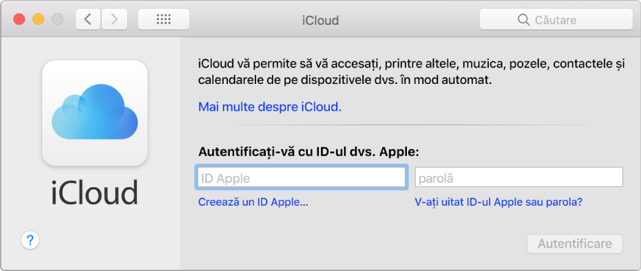 Preferințe iCloud, sistem pregătit pentru introducerea unui nume și a unei parole pentru ID-ul Apple.