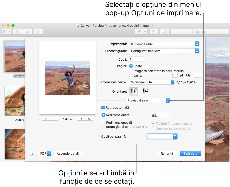 Alegeți o opțiune din meniul pop-up pentru opțiuni de tipărire. Opțiunile de tipărire de sub bara de separare se schimbă în funcție de opțiunea aleasă.