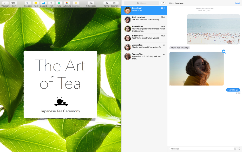 Doua aplicații una lângă alta în Split View.