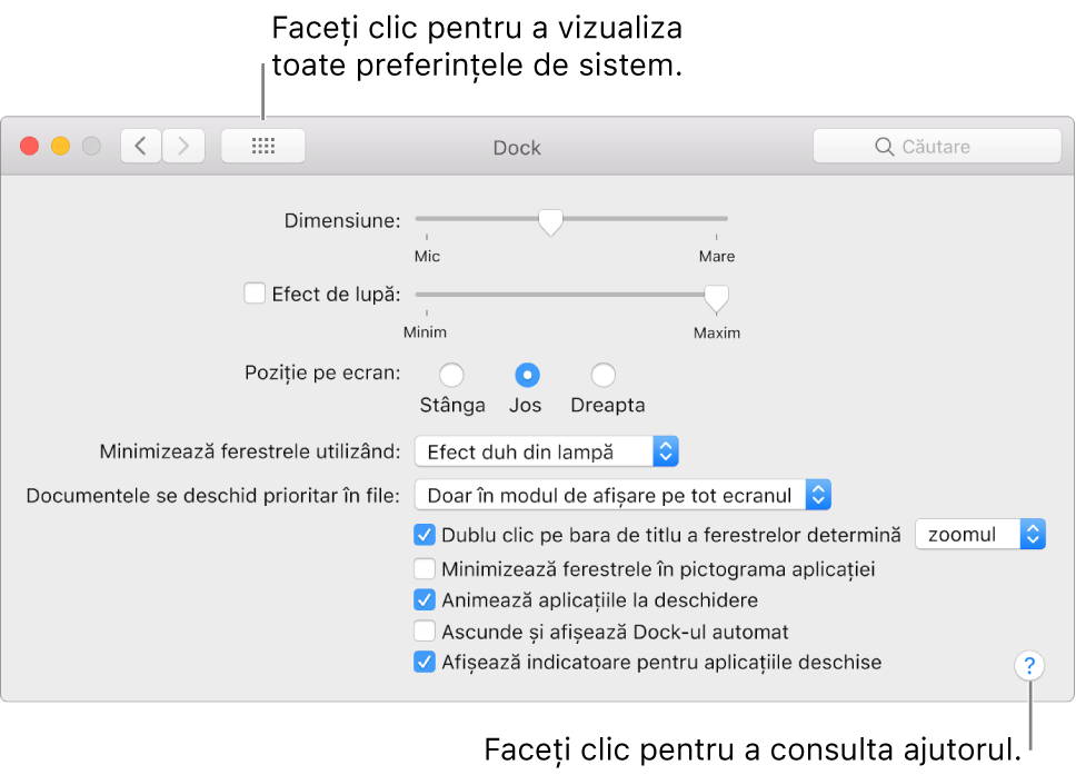 Faceți clic pe Afișează tot pentru a vedea toate pictogramele de preferințe. Faceți clic pe butonul Semnul întrebării pentru a consulta ajutorul pentru panou.