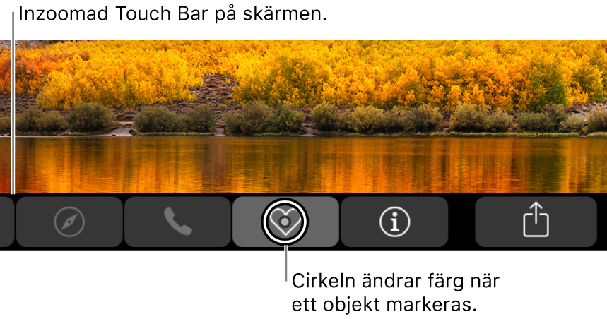 Inzoomad Touch Bar visas längs med nederkanten av skärmen och cirkeln ovanför en knapp ändras när knappen markeras.