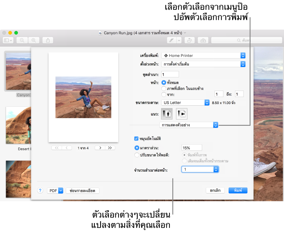 เลือกตัวเลือกจากเมนูป๊อปอัพตัวเลือกการพิมพ์ ตัวเลือกการพิมพ์ด้านล่างแถบตัวแยกจะเปลี่ยนแปลงตามตัวเลือกที่คุณเลือก