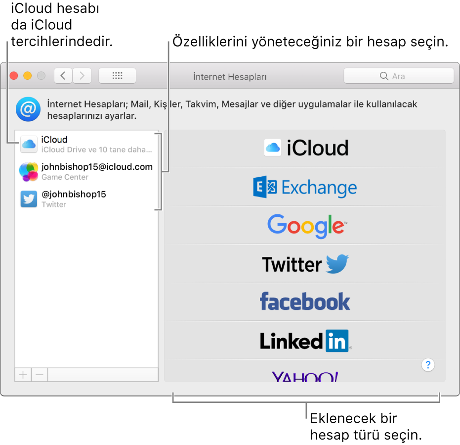 iCloud ve Twitter hesaplarının sağda, kullanılabilir hesap türlerinin ise solda listelendiği, İnternet Hesapları tercihleri.