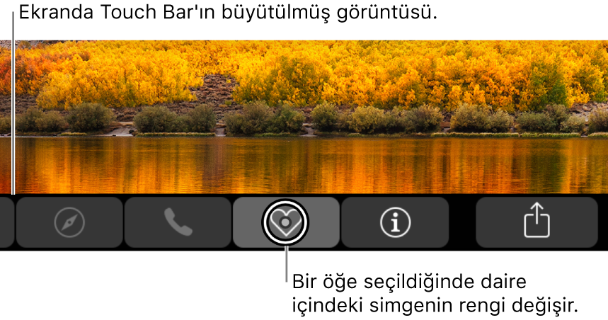 Ekranın alt tarafında büyütülmüş Touch Bar; düğme seçildiğinde düğmenin üzerindeki daire değişir.