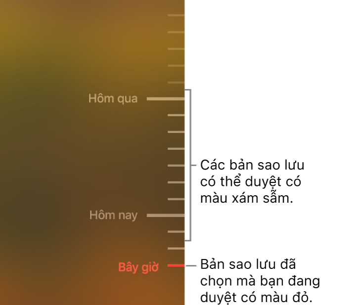 Dấu biểu thị màu xám trong dòng thời gian sao lưu. Dấu biểu thị màu đỏ biểu thị bản sao lưu bạn đang duyệt.