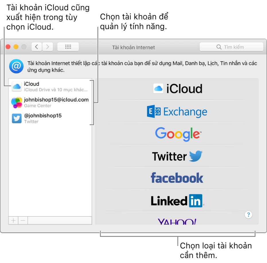 Tùy chọn Tài khoản Internet với các tài khoản iCloud và Twitter được liệt kê ở bên phải và các loại tài khoản khả dụng được liệt kê ở bên trái.