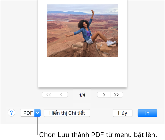 Bấm vào menu bật lên PDF, sau đó chọn Lưu thành PDF.
