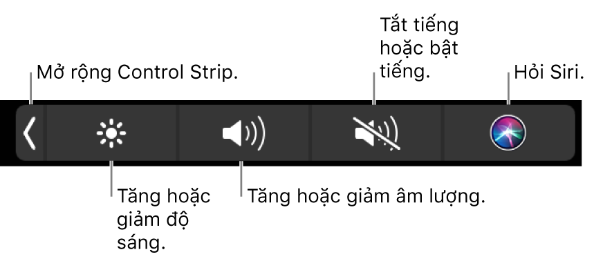 Control Strip được thu gọn bao gồm các nút—từ trái sang phải—để mở rộng Control Strip, tăng hoặc giảm độ sáng màn hình và âm lượng, tắt tiếng hoặc bật tiếng và hỏi Siri.