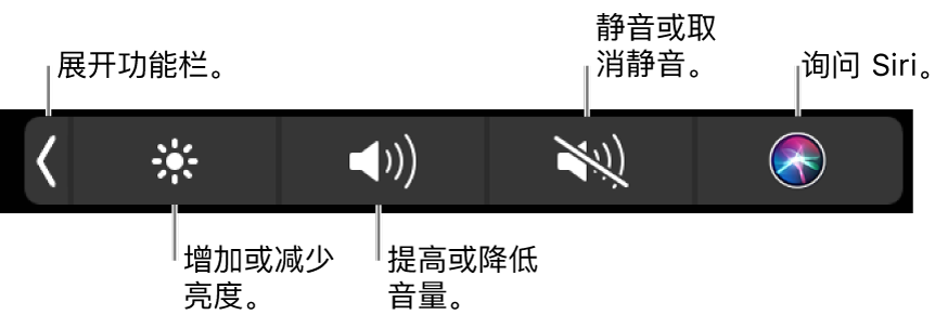 折叠的功能栏包括的按钮，从左到右依次为：用于展开功能栏、增加或减少显示器亮度和音量、静音或取消静音、以及询问 Siri。