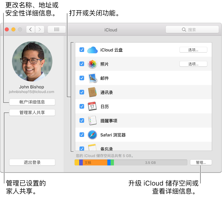 已选定所有功能的 iCloud 偏好设置。