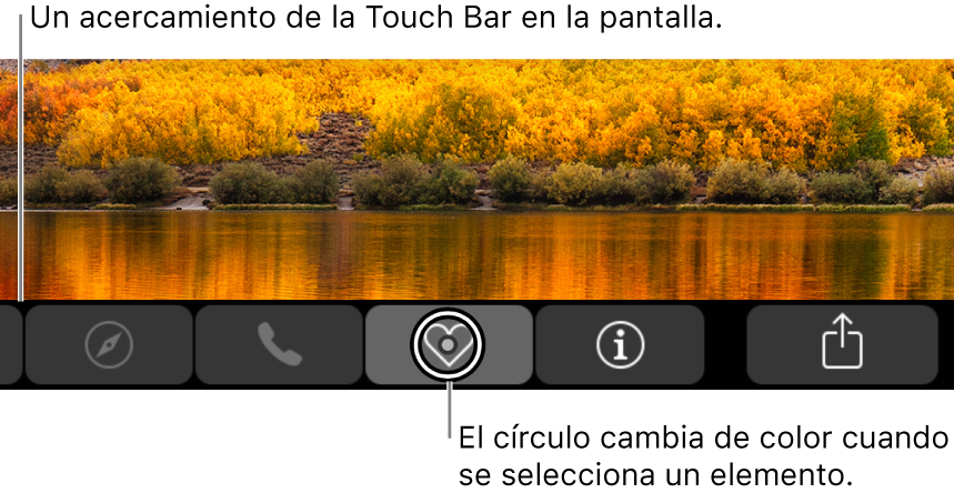 Touch Bar con zoom en la parte inferior de la pantalla; el círculo sobre un botón cambia cuando se selecciona el botón.