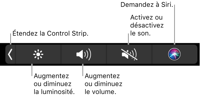 La Control Strip développée comprend des boutons de gauche à droite, pour développer la Control Strip, augmenter ou baisser la luminosité de l’écran ou le volume, couper ou rétablir le son et demander des choses à Siri.