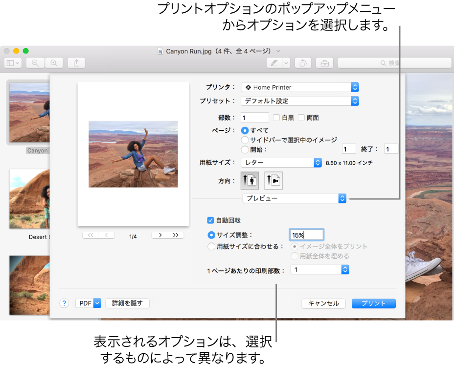 プリントオプションのポップアップメニューからオプションを選択します。区切り線の下に表示されるプリントオプションは、選択したオプションによって異なります。