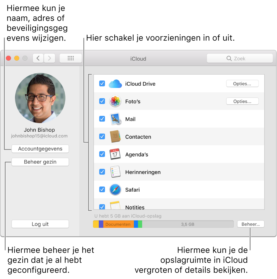 Het paneel 'iCloud' in Systeemvoorkeuren waarin alle voorzieningen zijn geselecteerd.